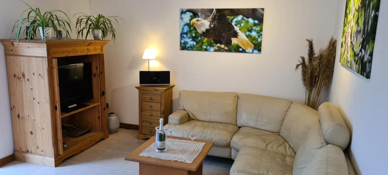 Hedfan Im Cnauceltaidd Halle (Holzminden)